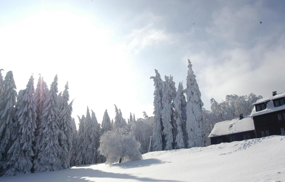Ferienhaus Thüringer Wald